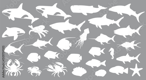 Ocean Life Silhouettes: Whales Sharks Fish and Sea Creatures