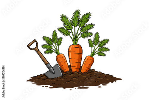 Colorful cartoon vector of carrots freshly harvested with soil and shovel, isolated on transparent background for gardening or farming design