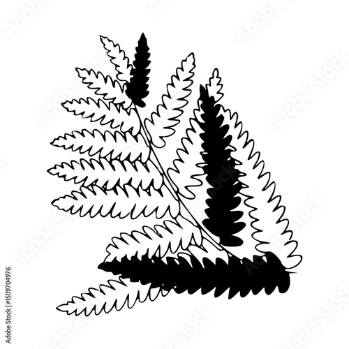 nature inspired fern frond design