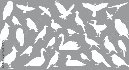 White Bird Silhouettes Collection of Avian Species Grey Background Nat
