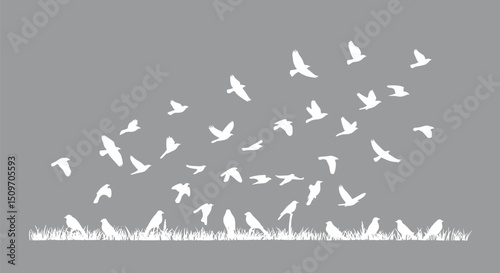 Flock of Birds Flying Over Grassland White Silhouettes Nature Scene