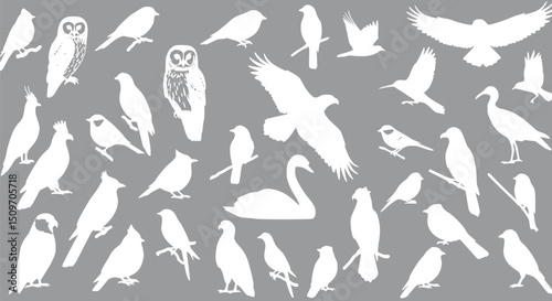 White Bird Silhouettes Grey Background Avian Collection Wildlife Natur