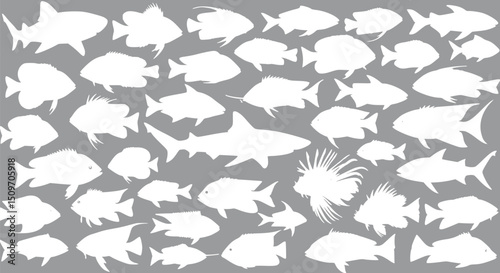 White Silhouettes of Various Fish Species on Gray Background