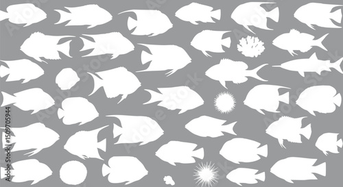 White Silhouettes of Fish and Sea Life on Grey Background - Ocean Anim