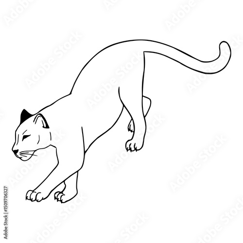 simple puma line art drawing