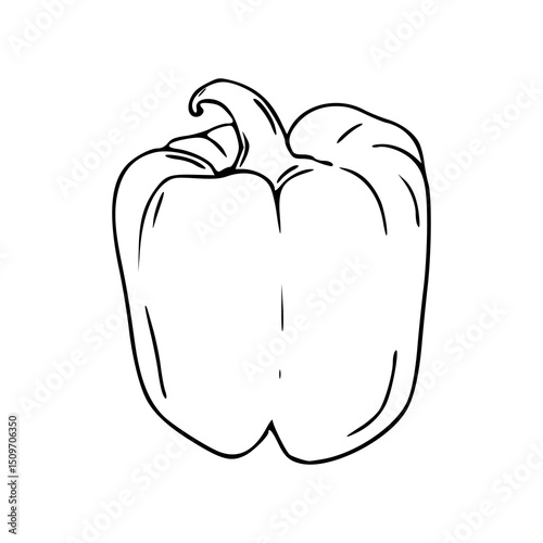 fresh capsicum vegetable line art