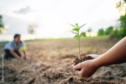person is holding a small plant in their hand while another person looks on