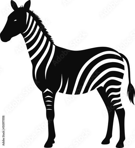 zebra vector illustration