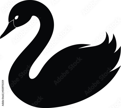 black swan vector