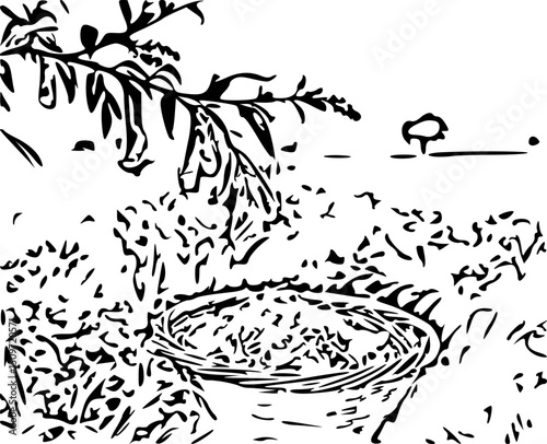 Sarson Da Tel – Black and White Vector of Mustard Oil Concept in Rural Field
