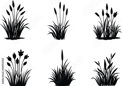 Elegant Nature Silhouette of Grass and Cattails.