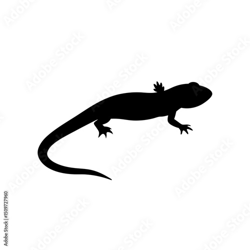 A Monochrome Side Profile Graphic of a Swimming Newt a High Quality Vector Design