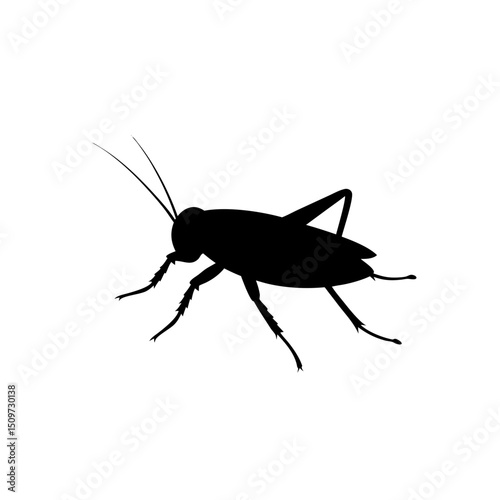 Black Silhouette Of a Side View Cricket Chirping Loudly vector illustration