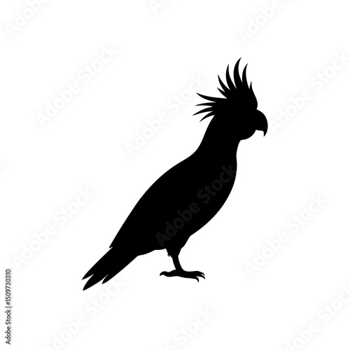 Black Silhouette Of a Side View Cockatoo Calling Out Loud vector illustration