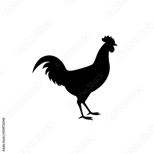 Black Silhouette Of a Side View Cock Walking in Farmyard vector illustration