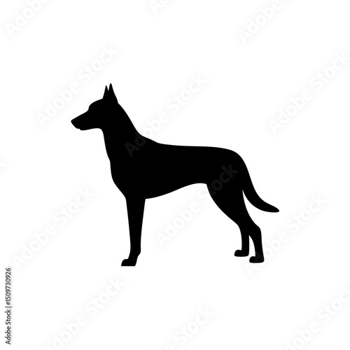 Black Silhouette Of a Side View Belgian Malinois vector illustration