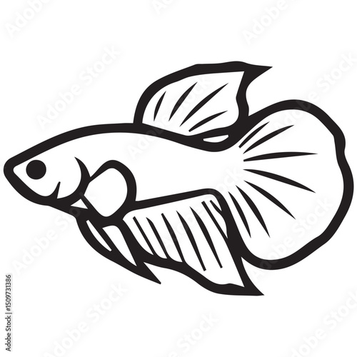 Black outline drawing of a betta fish with detailed fins and a simple round eye facing left