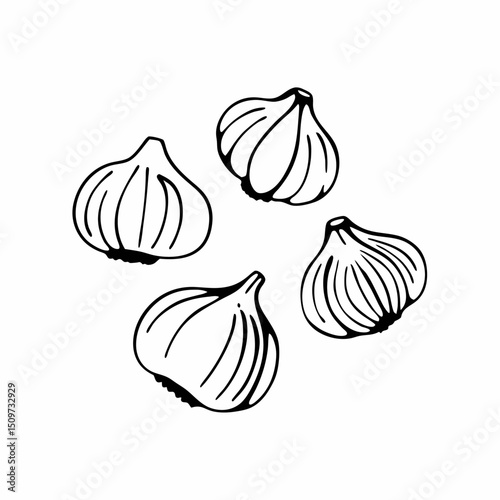 A vibrant vector illustration of a set of fresh garlic bulbs and cloves, isolated on white, showcasing a healthy and natural food ingredient