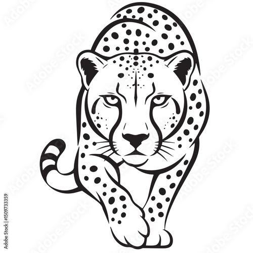 A black and white line art depiction of a cheetah prowling forward
