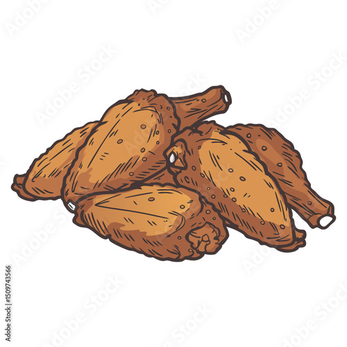 Roasted chicken wings vector illustration image.