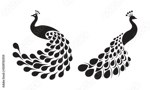 Exquisite Black Peacock Silhouettes Logo Vector Icon Isolated on White Background