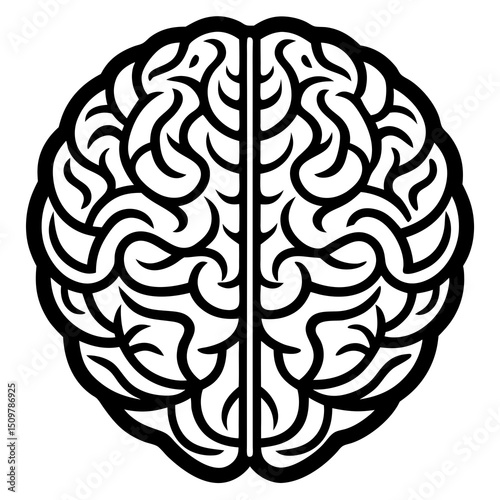 Brain Anatomy Detailed Vector Silhouette Illustration on White Background