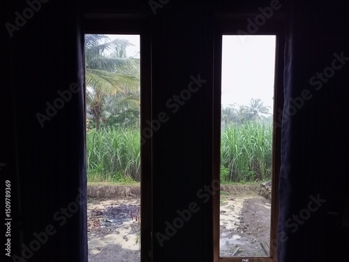 Rural Green Landscape Viewed From Darkened Window