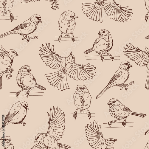 Seamless pattern with titmouse. Hand drawn vector illustration.