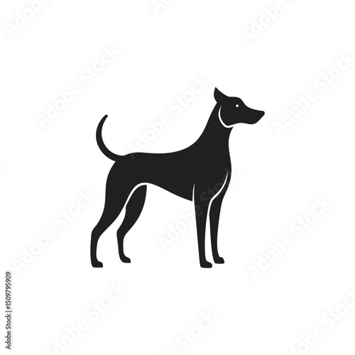 Elegant Silhouette of a Dog
