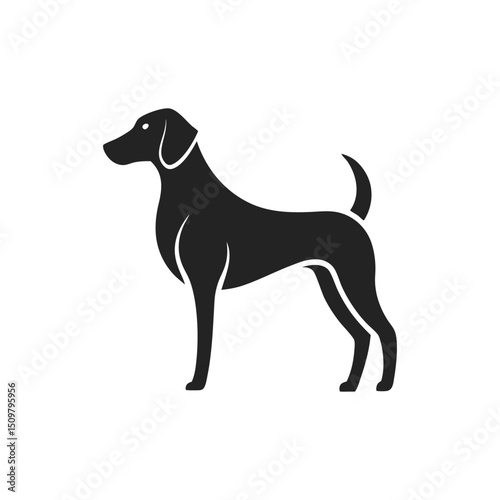 Elegant Silhouette of a Dog
