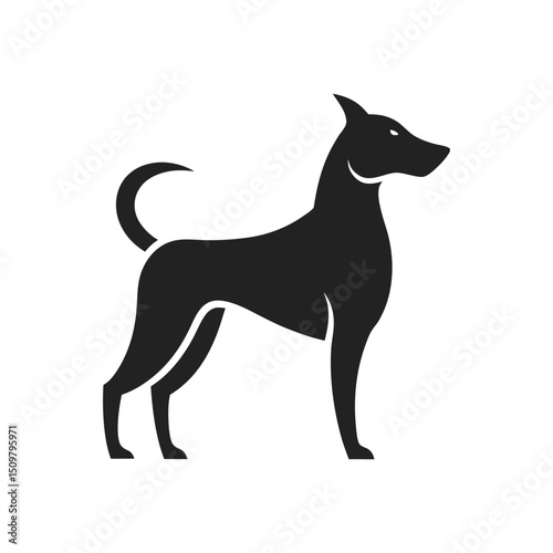 Elegant Silhouette of a Dog