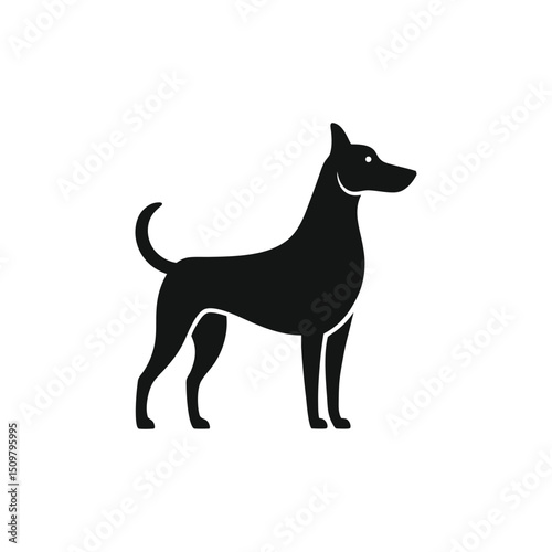 Elegant Silhouette of a Dog