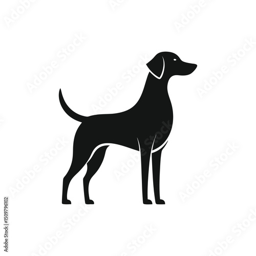 Elegant Silhouette of a Dog