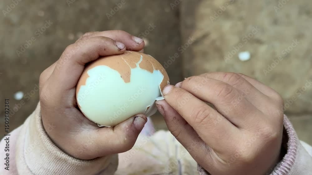 Young girl dirty hands peeling hard boiled egg. 