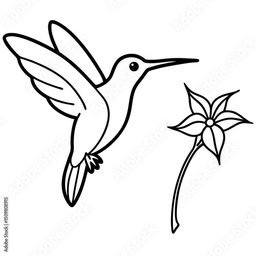 Hummingbird with flower line art vector illustration 