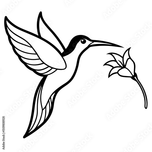 Hummingbird with flower line art vector illustration 