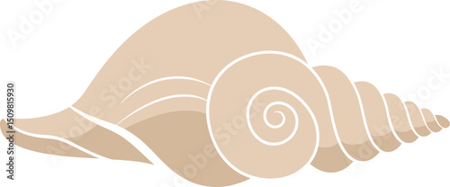 seashell, spiral pattern, natural seashore, minimalist design, geometric shapes, neutral colors, organic shapes, simplified illustration, digital art
