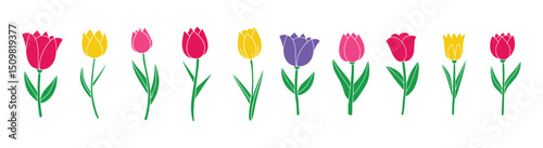 Set of colorful tulip silhouette. Vector illustration. Collection of decorative flowers