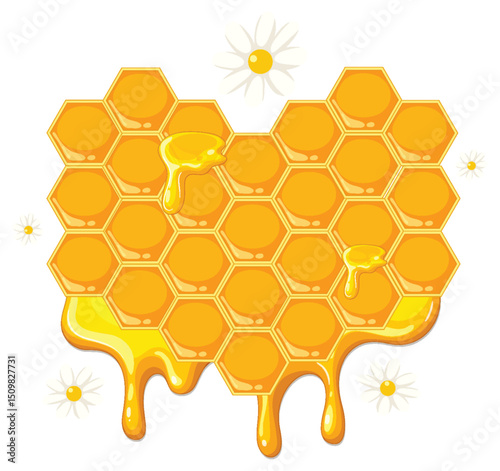 Honeycomb with Dripping Honey and Daisies