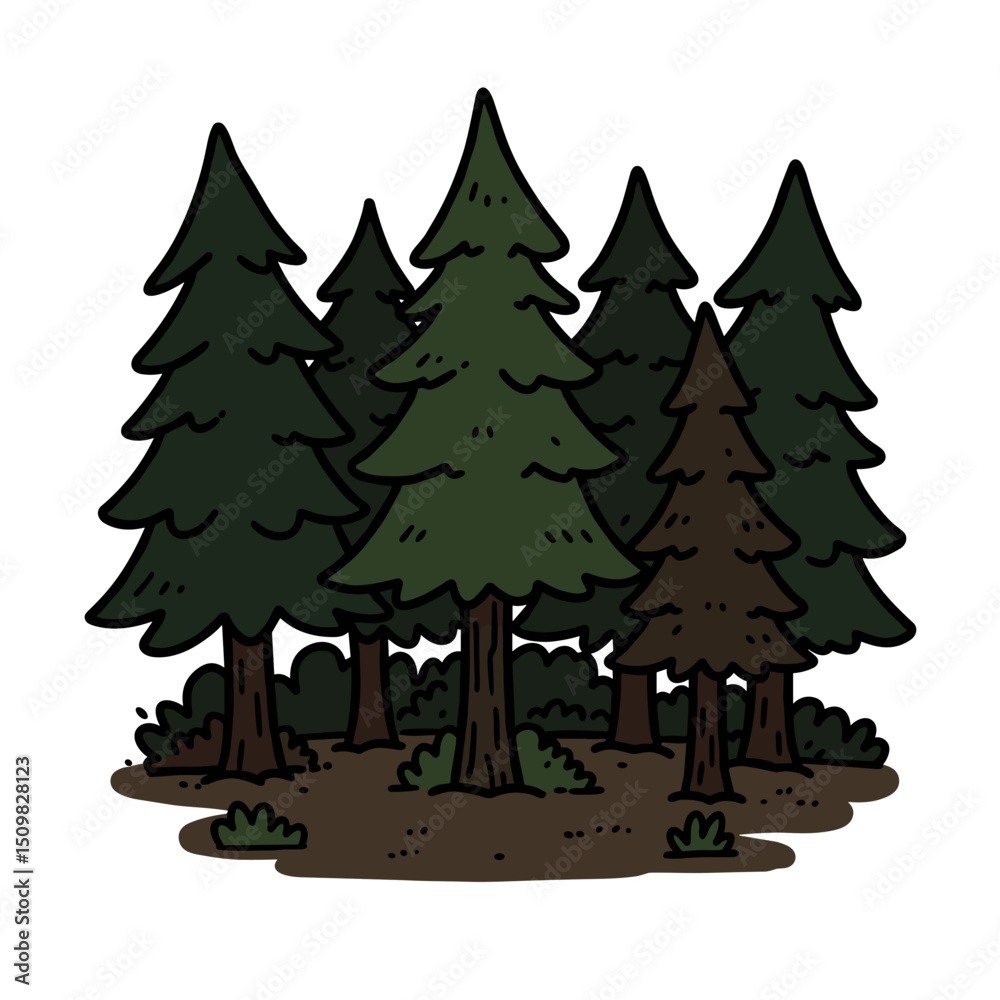 Obraz premium Dense evergreen forest with tall pine trees and underbrush 