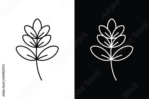 Simple Fenugreek Sketch. Botanical Line Drawing for Organic Spice Themes