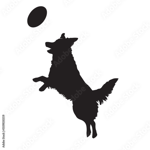 black dog with ball 