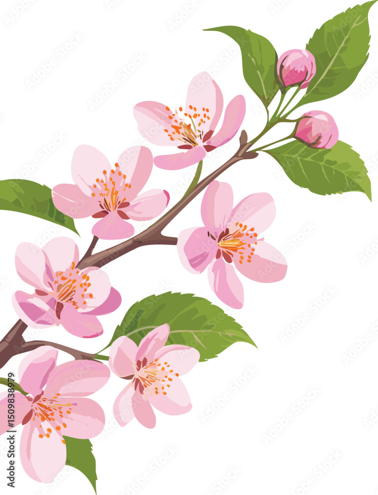Fototapeta premium Blossoming cherry tree branch with pink flowers
