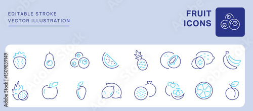 Fruit Icons. Editable Stroke. Set of thin line icons symbol collection. 
