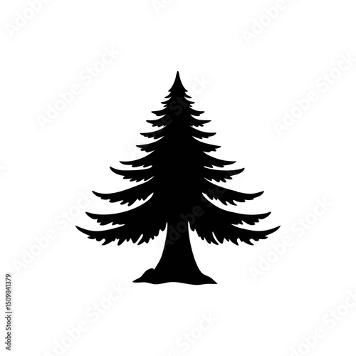 Sequoia silhouette, vector silhouette of a tree on a transparent background