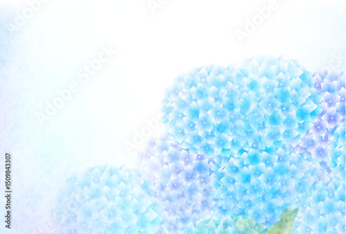 あじさい　梅雨　花　背景