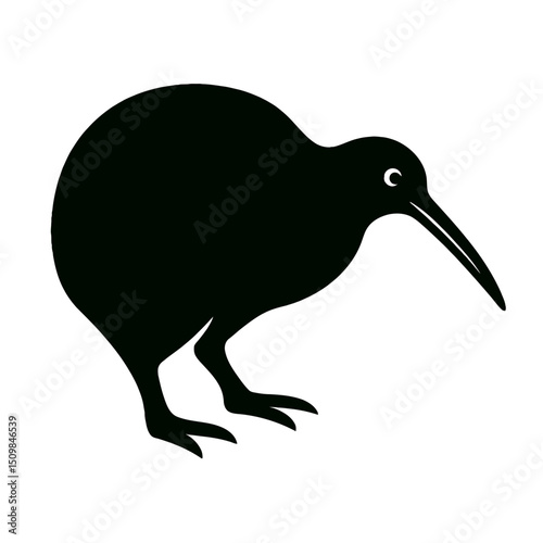 Kiwi bird full body, white background, monochrome black, flat vector illustration, illustrator style