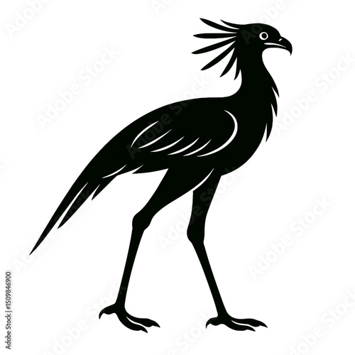 Secretary bird full body, white background, monochrome black, flat vector illustration, illustrator style