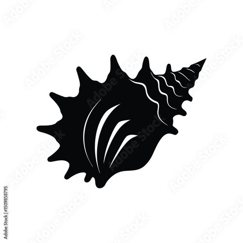 Photos A murex shell silhouette vector art illustration