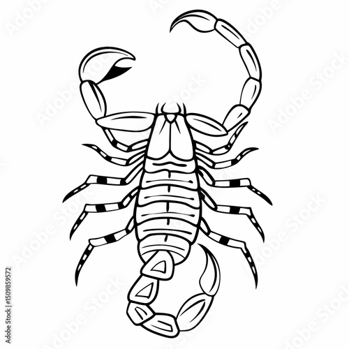 Black scorpion vector illustration with dangerous stinger tail and claws, isolated silhouette